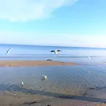 Lejlighed Vesta In Lage Mit Strandkorb Am